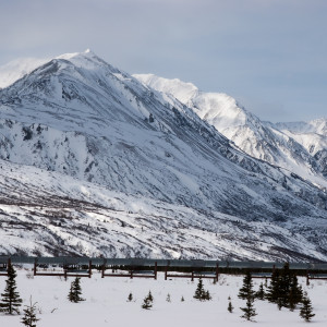 Alaska’s Willow Project is Part of America’s Energy Security Solution