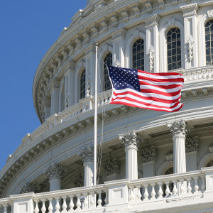 The Year of the Congressional Review Act