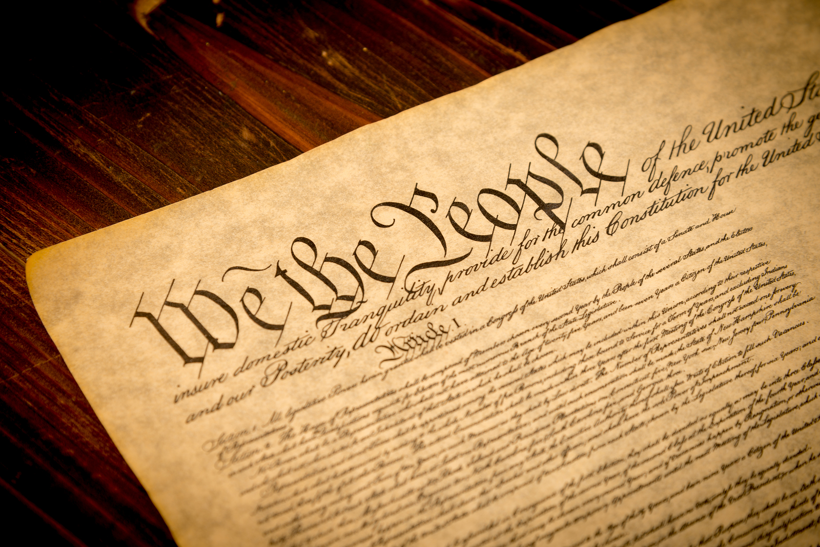 Opinion: ‘We the People,’ but Who Exactly?