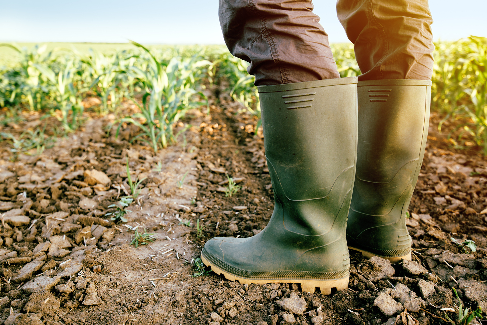 The German Government Gambled Against Farmers and Lost
