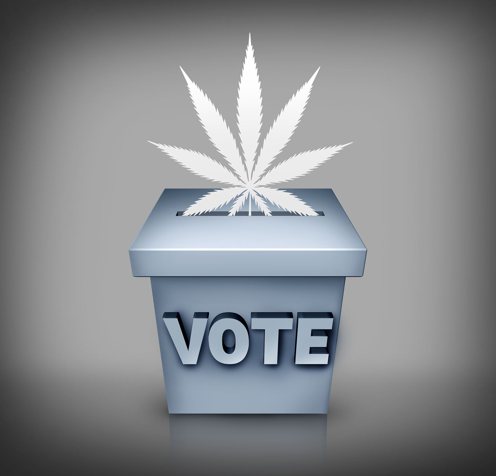 Voters Will Continue to Lead on Marijuana Legalization
