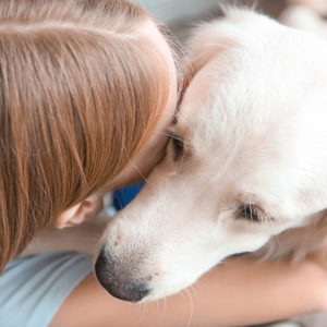 Animals Can Be a Powerful Medicine for Improving Mental Health