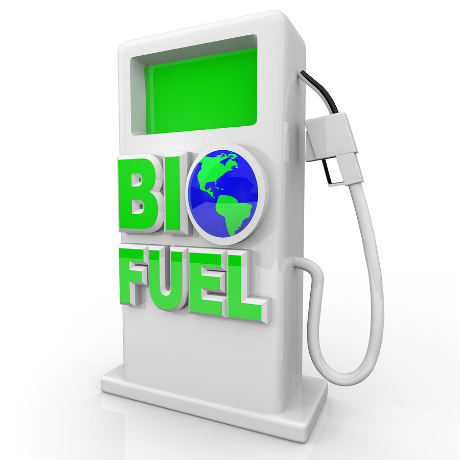 Do Not Raise Renewable Fuel Standard Levels