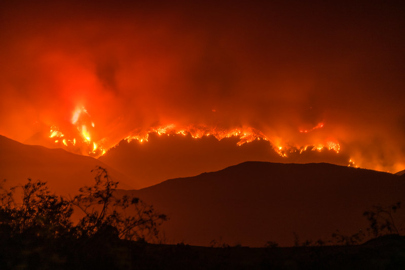 Biomass, Unburned and Unused in America