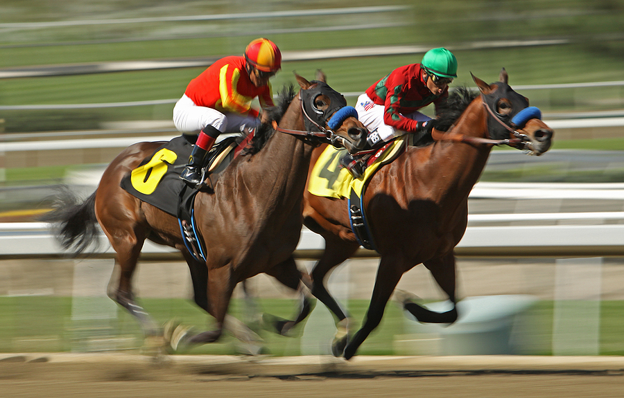 Point: Horse Racing’s Reality Problem