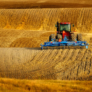 Europe’s Farm Reforms Come to Haunt It