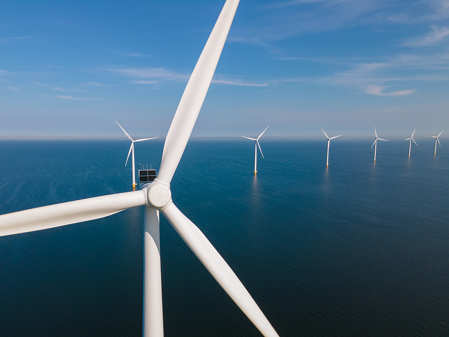 Offshore wind critics call for investigation of New Jersey whale strandings