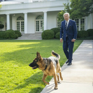 A Quiz for Presidents Day: Presidential Pets 