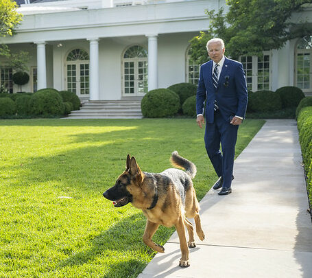 A Quiz for Presidents Day: Presidential Pets – DC Journal - InsideSources