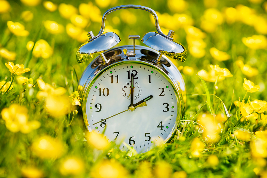 Point: Make Standard Time Permanent