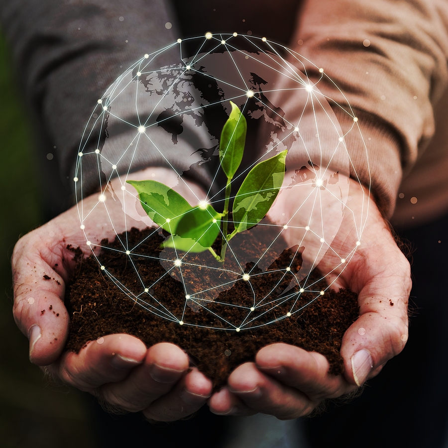 Time for a Second Green Revolution