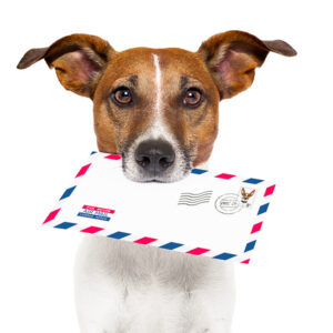Dog Bite Prevention is All Bark and No Bite at the Postal Service