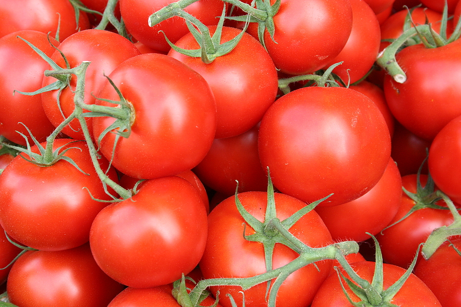 Florida’s Food Fight Over Tomatoes Could Send Your Grocery Bill Higher
