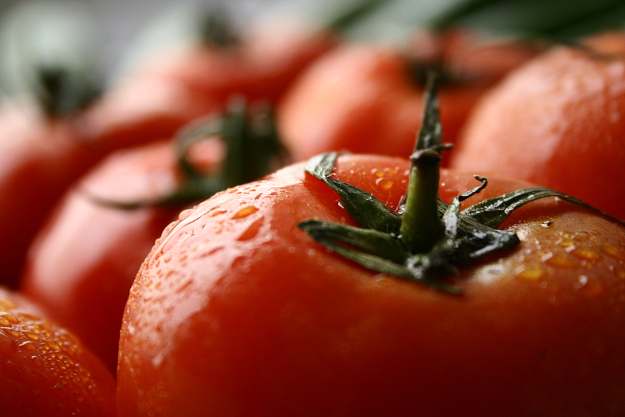 Mexico’s Trade Violations Threaten U.S. Farms