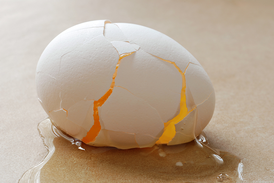 The Scrambled Economics of Democrat Attacks on ‘Big Egg’