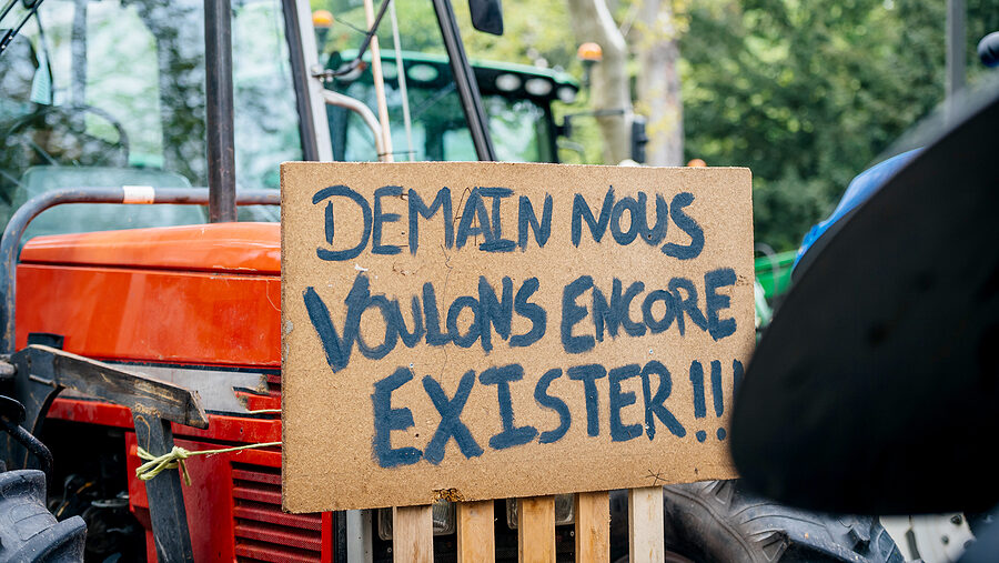 How Agriculture Tipped the Scale on Europe’s Biggest Election