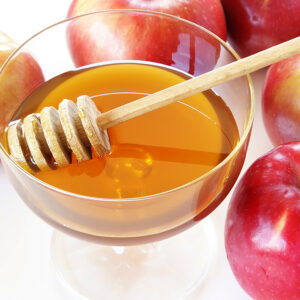 A Child’s Questions about Rosh Hashana