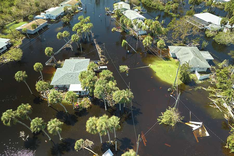 The Agony and Heroism of Florida