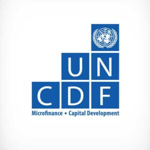 Little-Known UN Agency Could Make Big Difference in Green Energy Investment