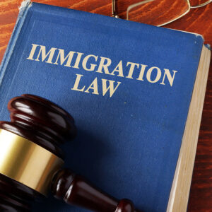 Counterpoint: Conventional Wisdom Behind Birthright Citizenship Is Wrong