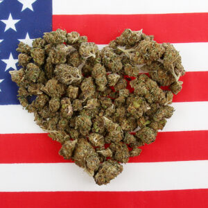 Trump Should Deliver on His Marijuana Scheduling Promises