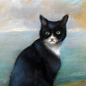 HOLY COW! HISTORY:  Unsinkable Sam, the World’s Luckiest Cat?